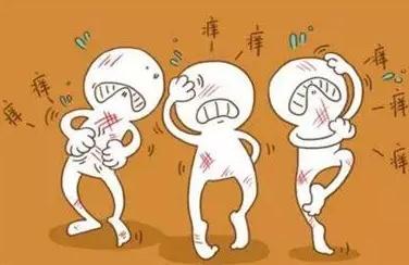 牛皮鲜常见误区