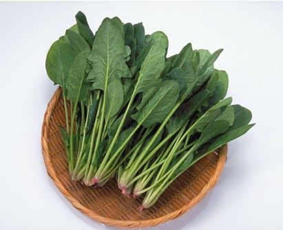 菠菜的价值